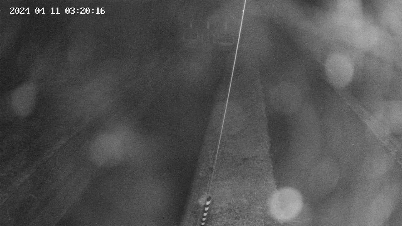area9-20240411032017.jpg