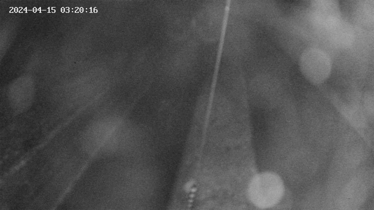 area9-20240415032017.jpg