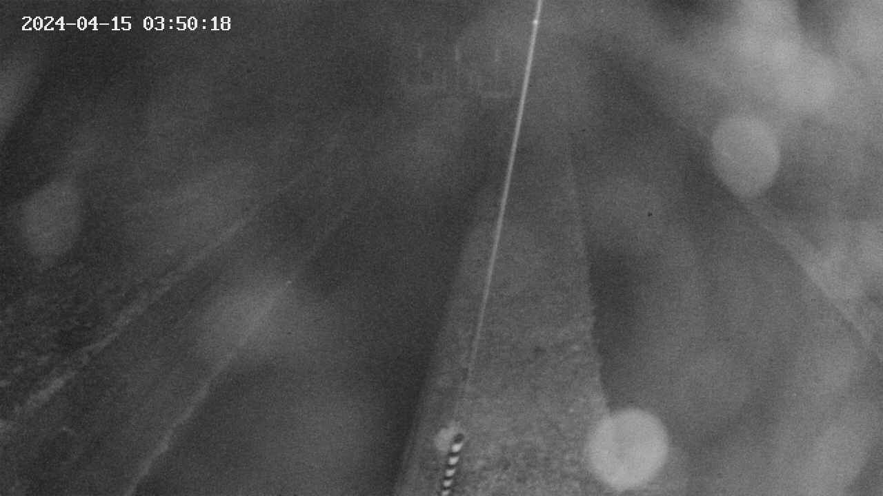 area9-20240415035019.jpg