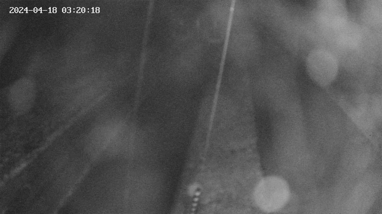 area9-20240418032019.jpg