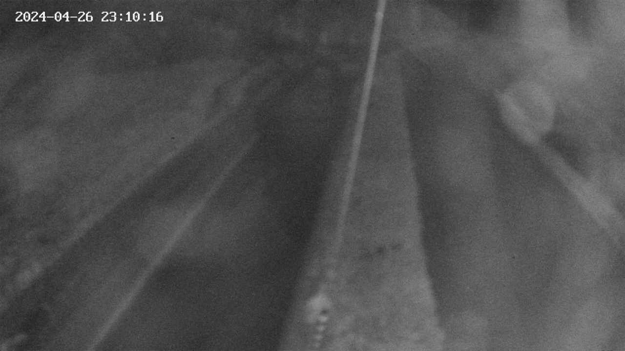 area9-20240426231018.jpg