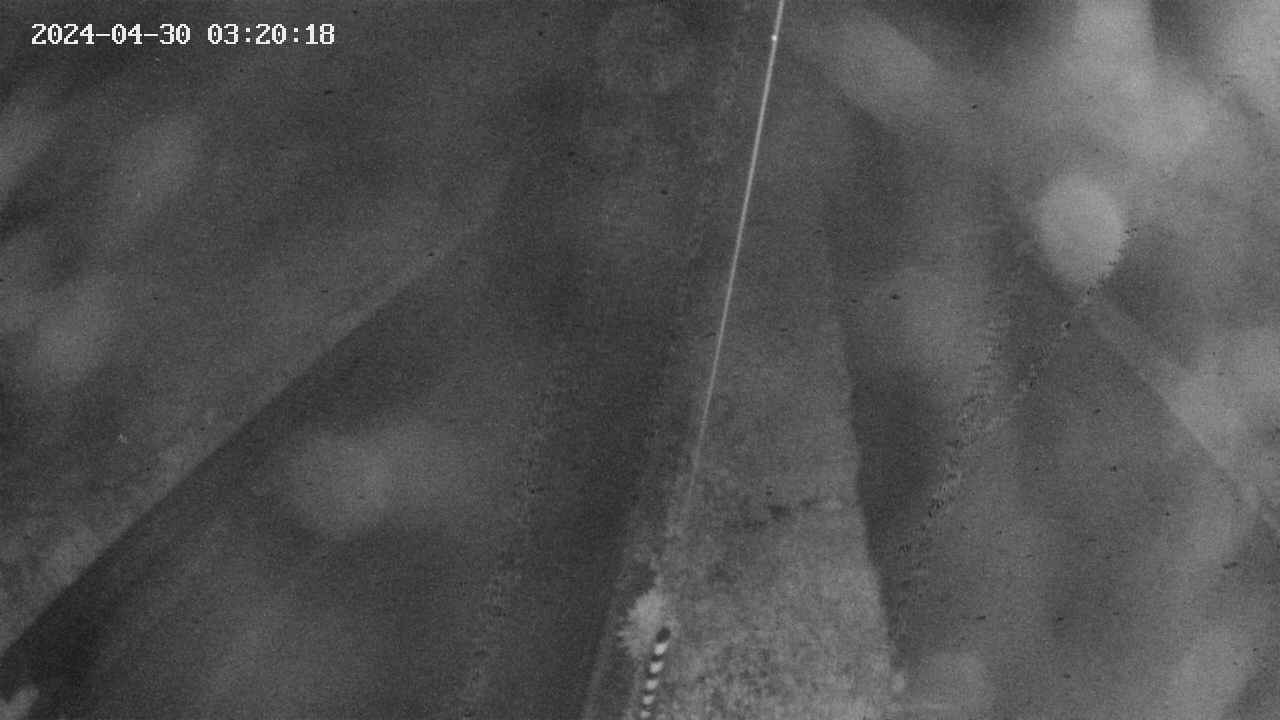 area9-20240430032019.jpg
