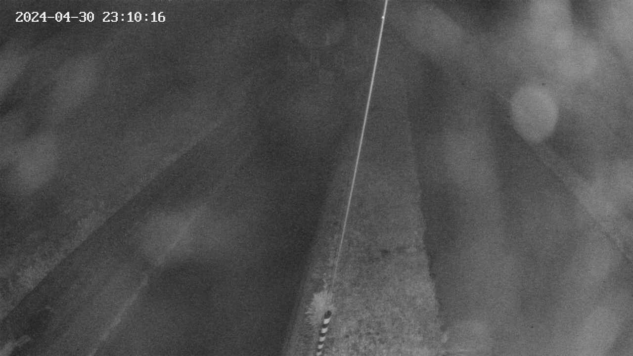 area9-20240430231017.jpg