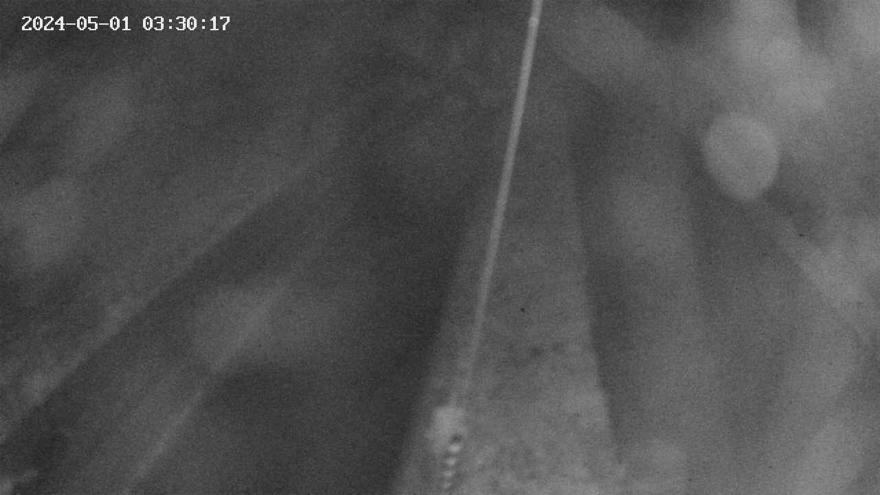area9-20240501033018.jpg