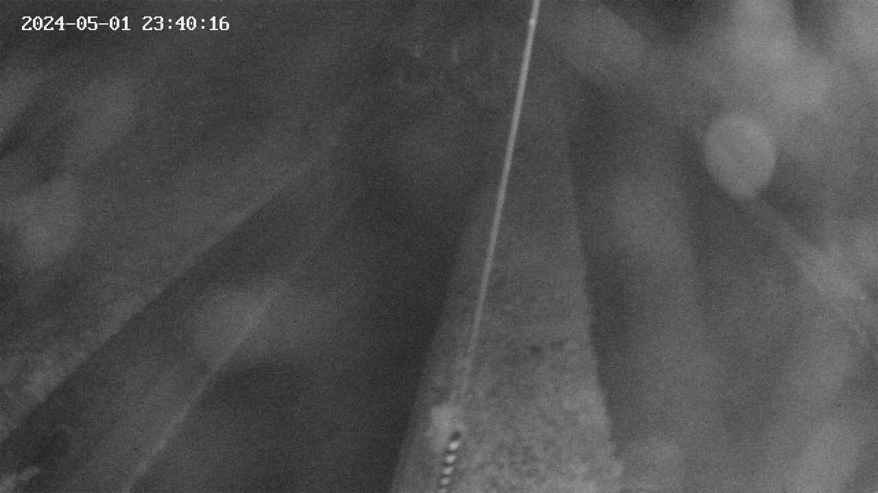 area9-20240501234017.jpg
