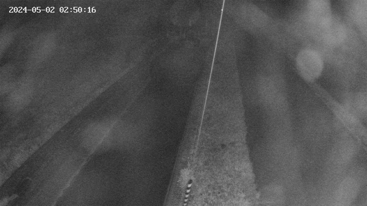 area9-20240502025017.jpg