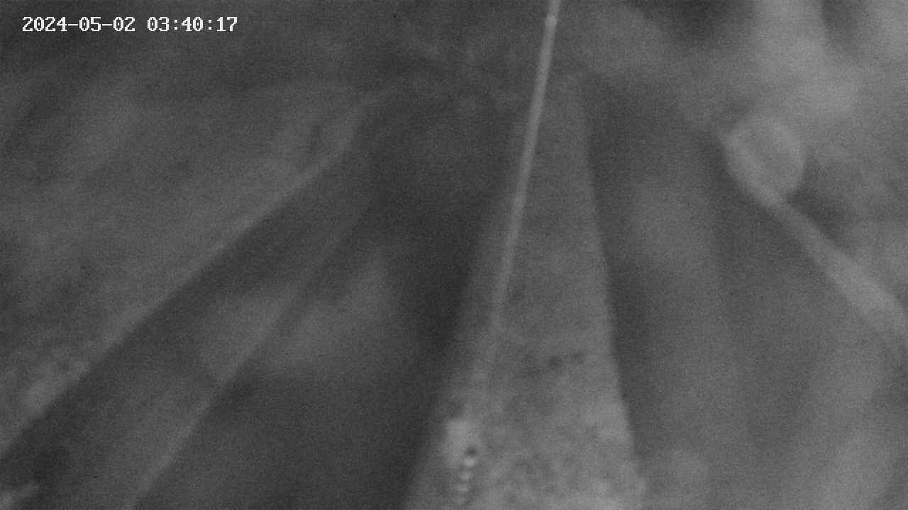 area9-20240502034018.jpg