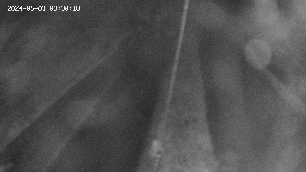 area9-20240503033019.jpg