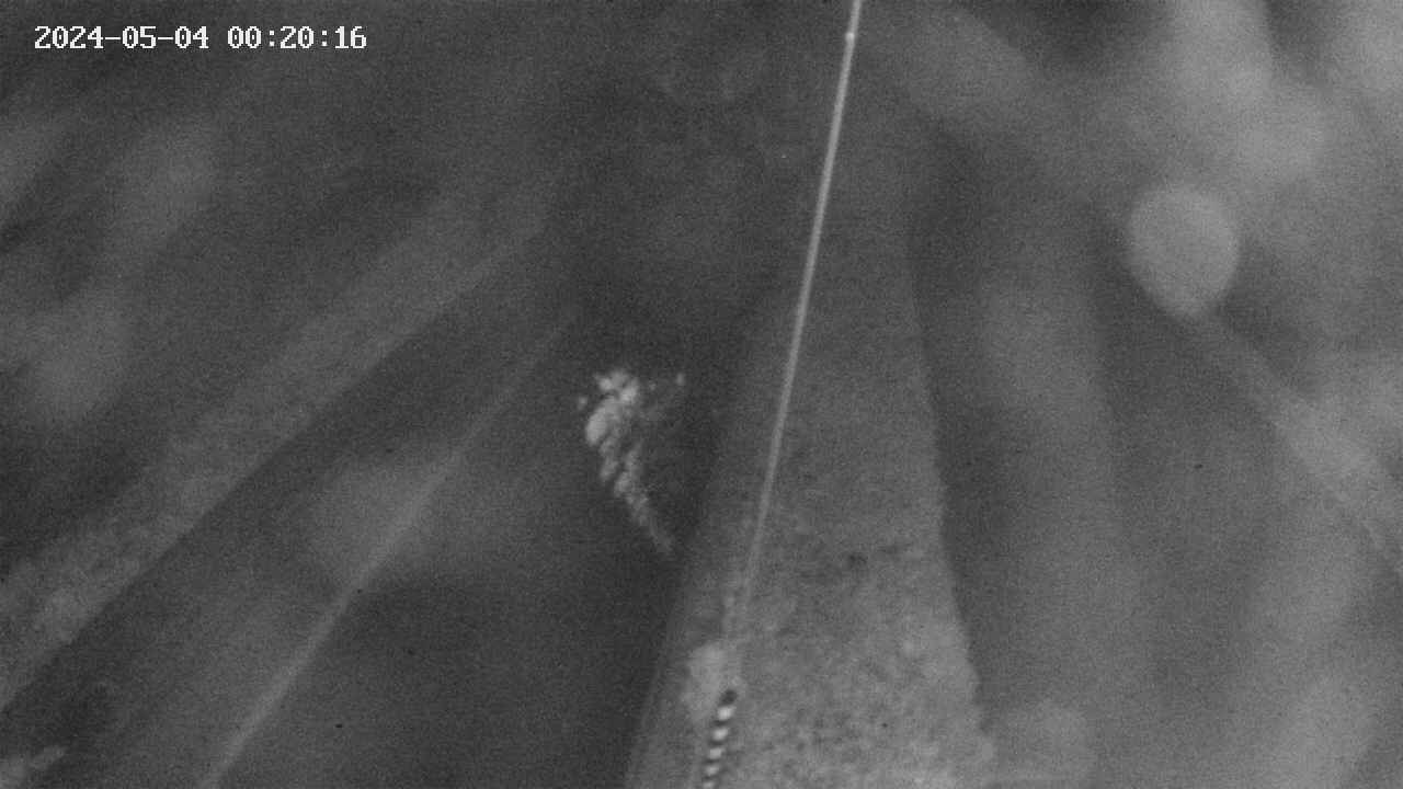 area9-20240504002017.jpg