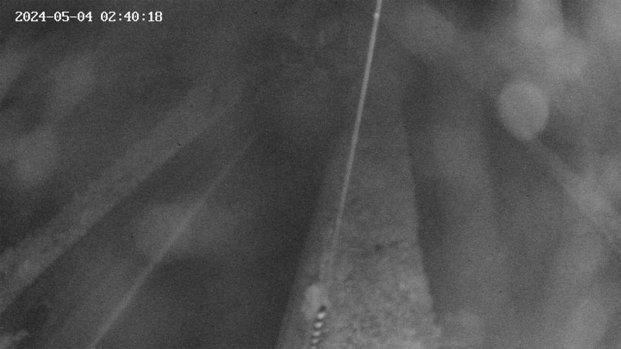 area9-20240504024019.jpg