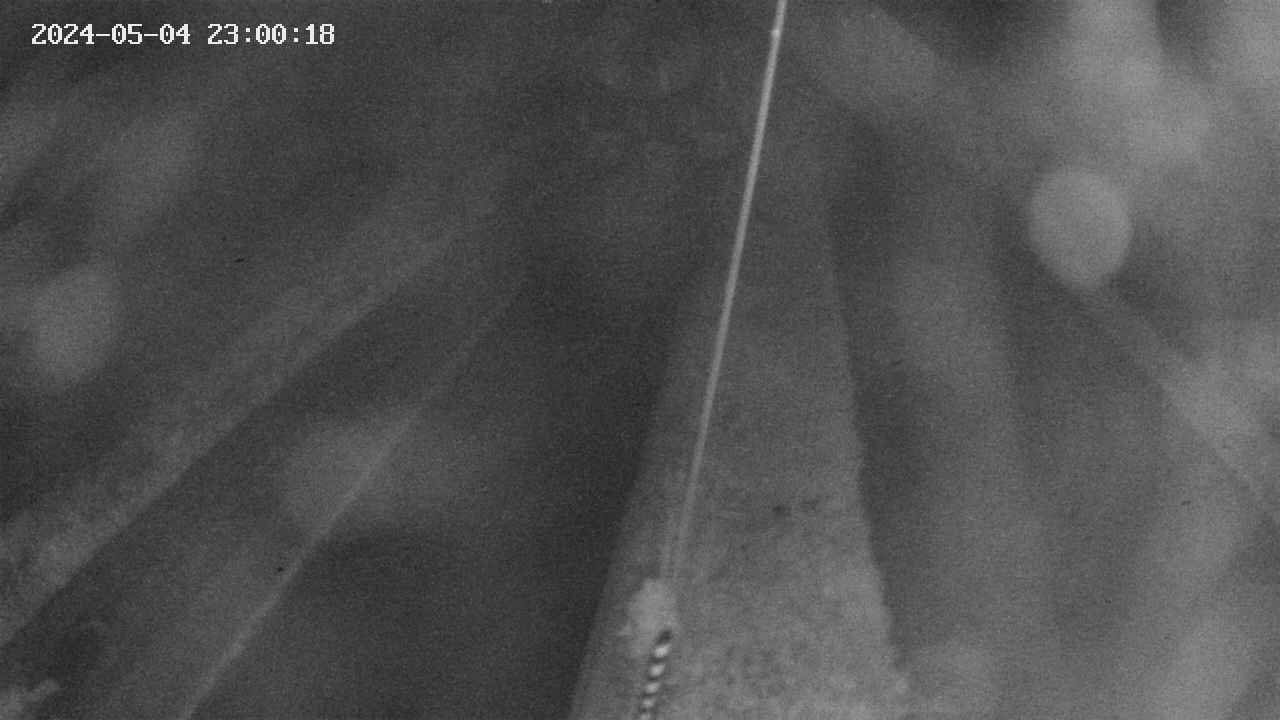area9-20240504230019.jpg