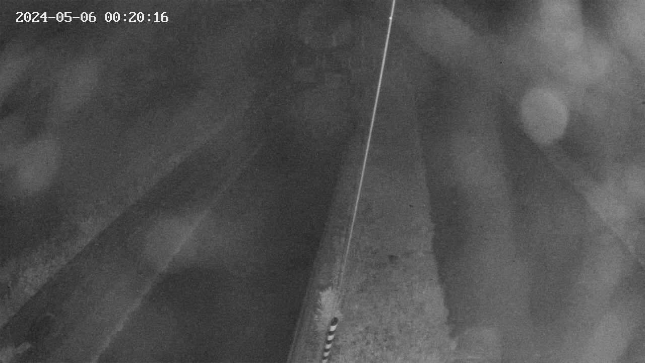 area9-20240506002018.jpg