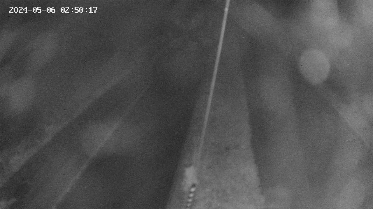 area9-20240506025019.jpg