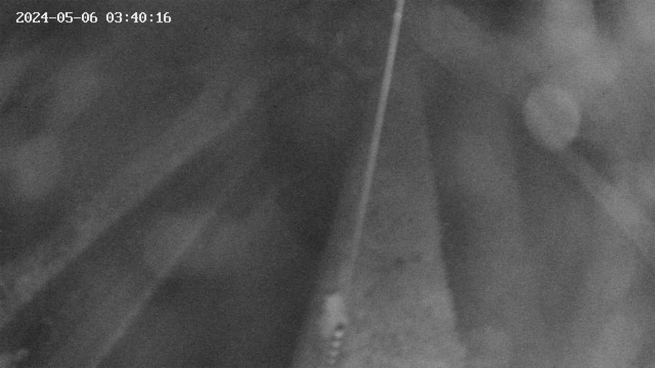 area9-20240506034018.jpg
