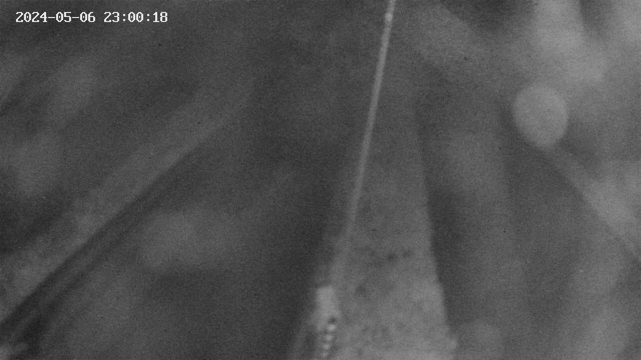 area9-20240506230019.jpg