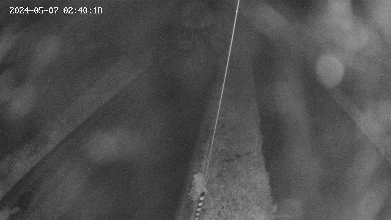 area9-20240507024019.jpg