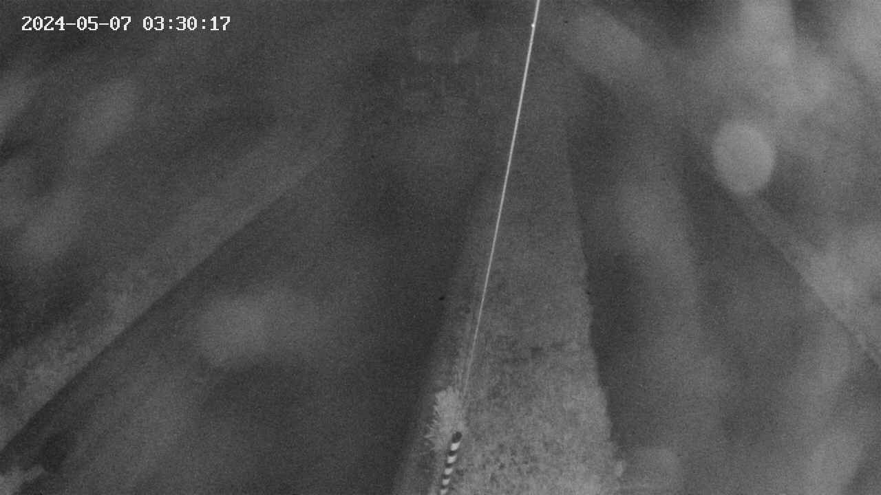 area9-20240507033017.jpg