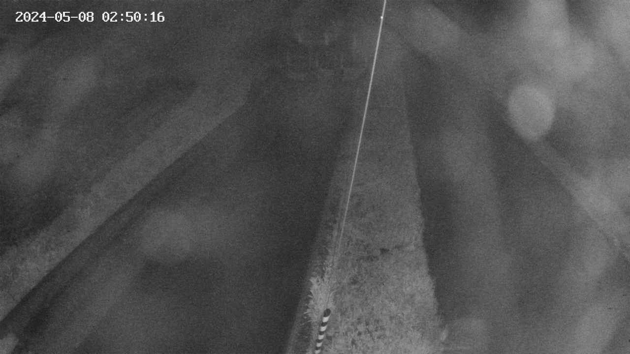 area9-20240508025017.jpg