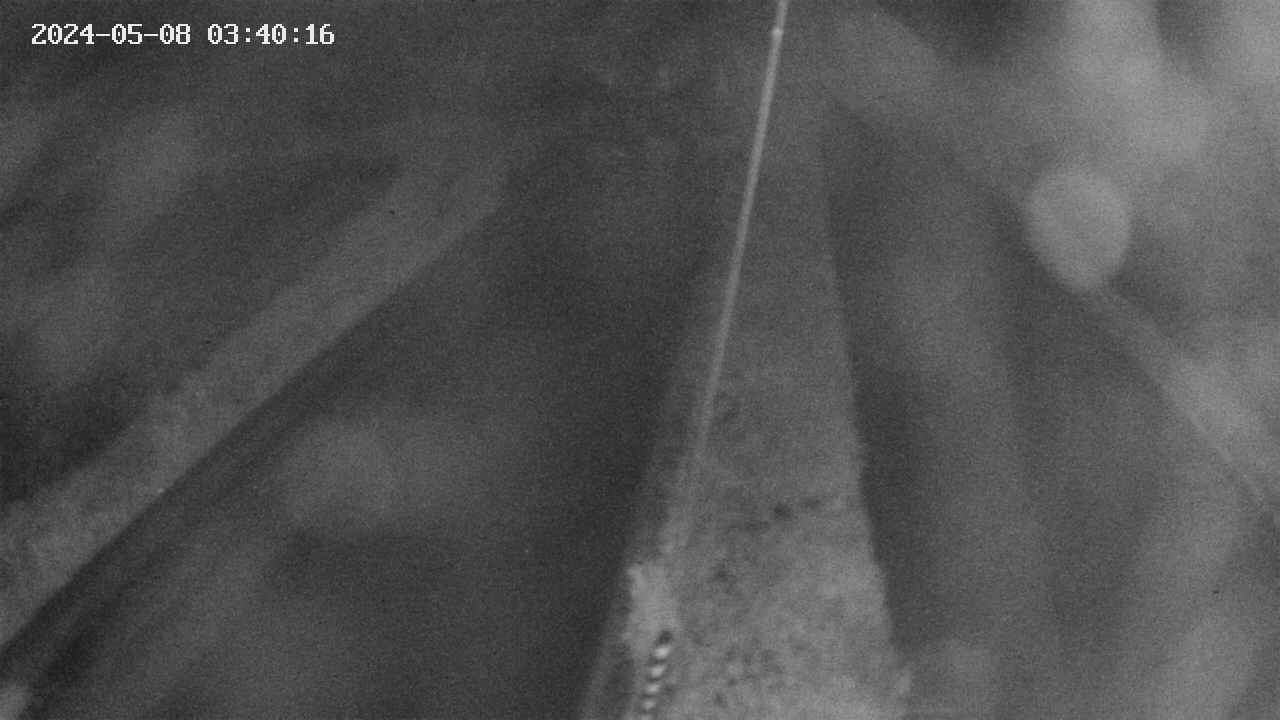 area9-20240508034017.jpg