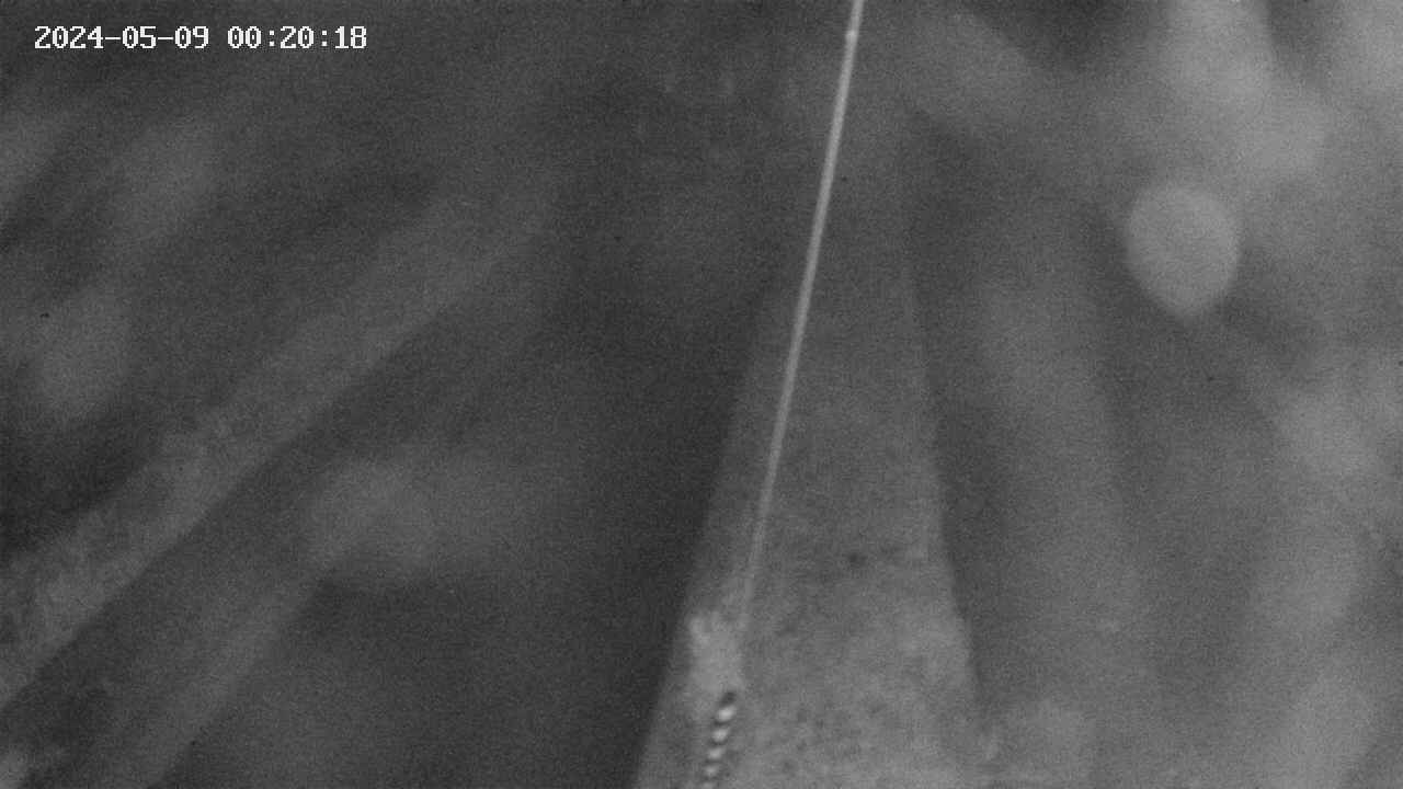 area9-20240509002019.jpg