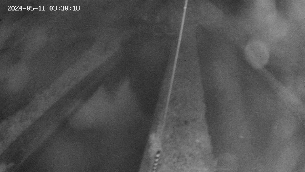 area9-20240511033019.jpg