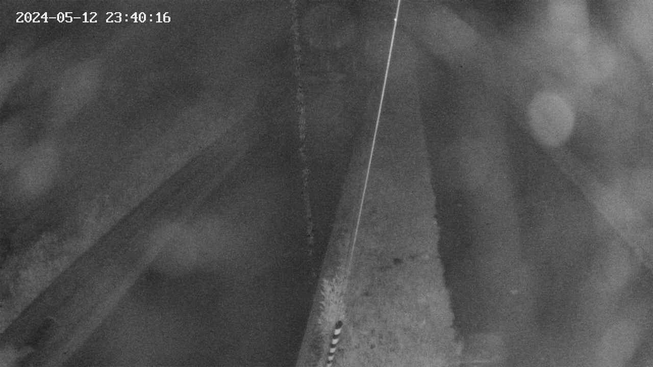 area9-20240512234017.jpg