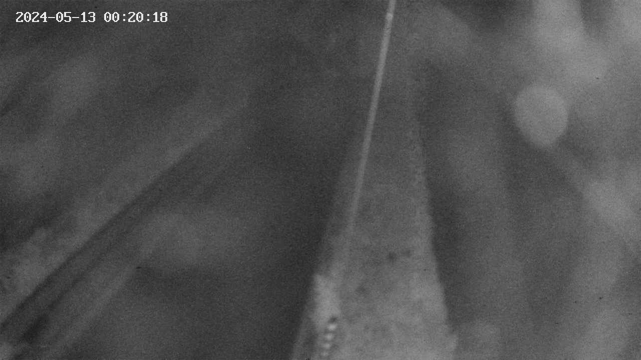 area9-20240513002019.jpg