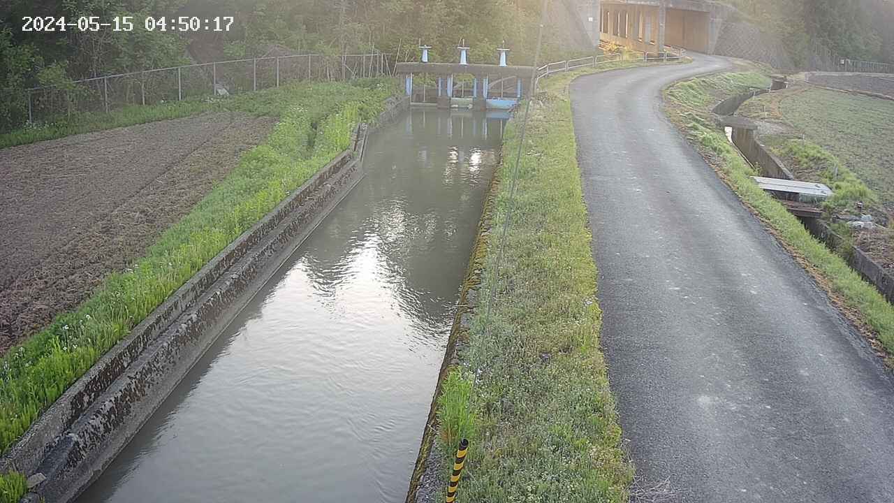 area9-20240515045018.jpg