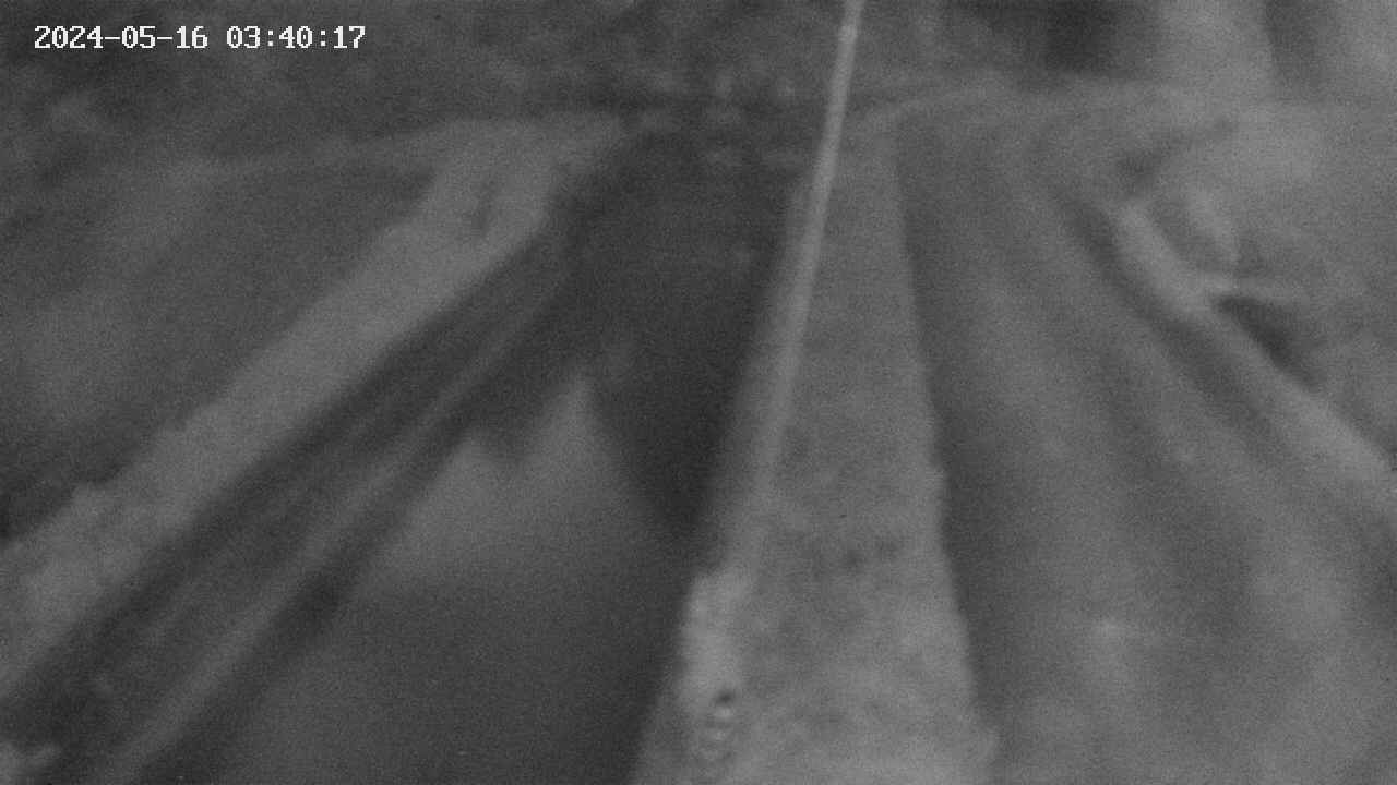 area9-20240516034018.jpg