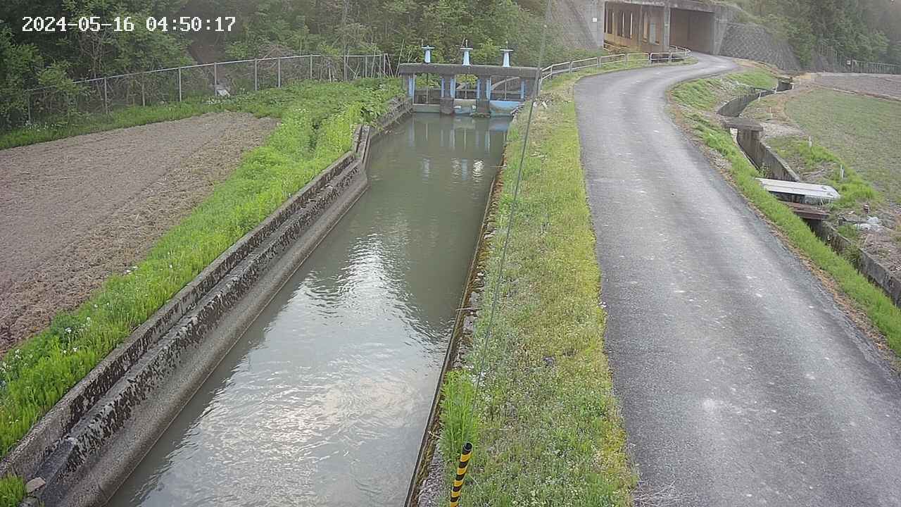 area9-20240516045018.jpg