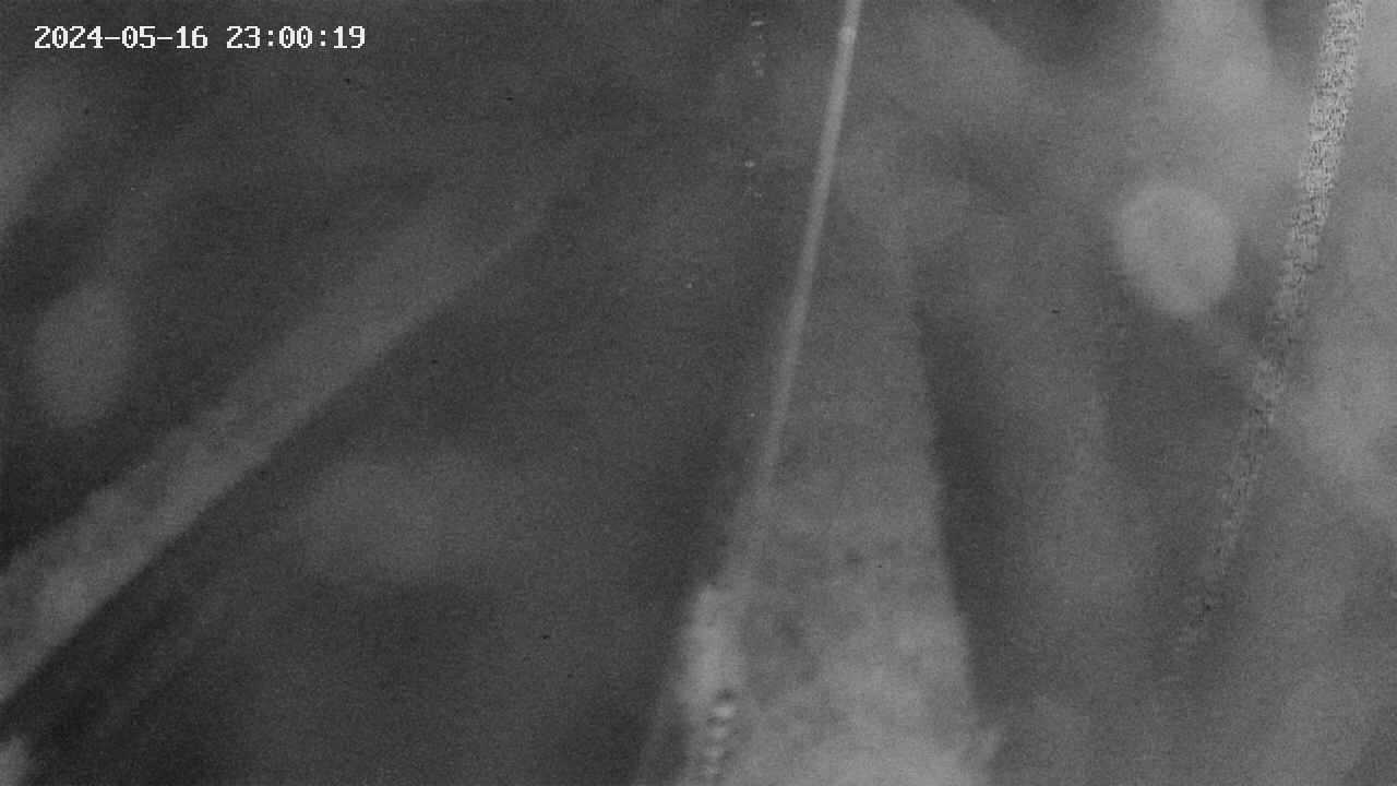 area9-20240516230019.jpg