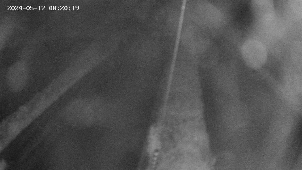 area9-20240517002019.jpg
