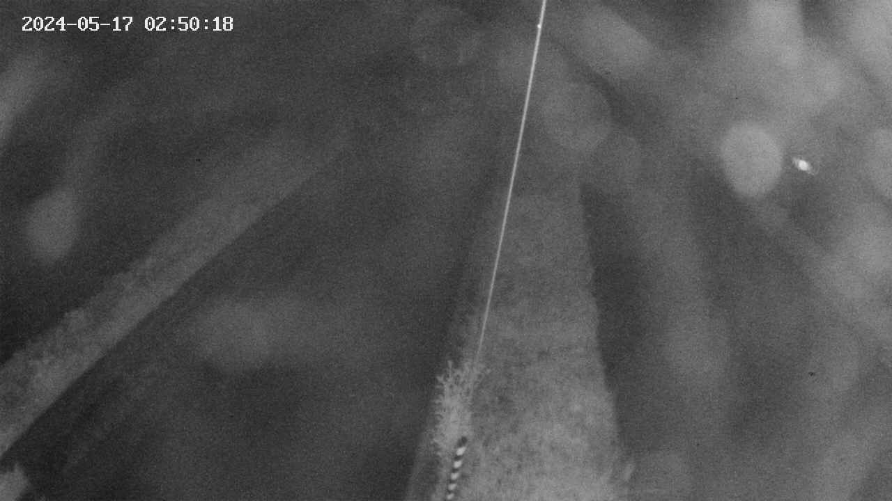 area9-20240517025019.jpg