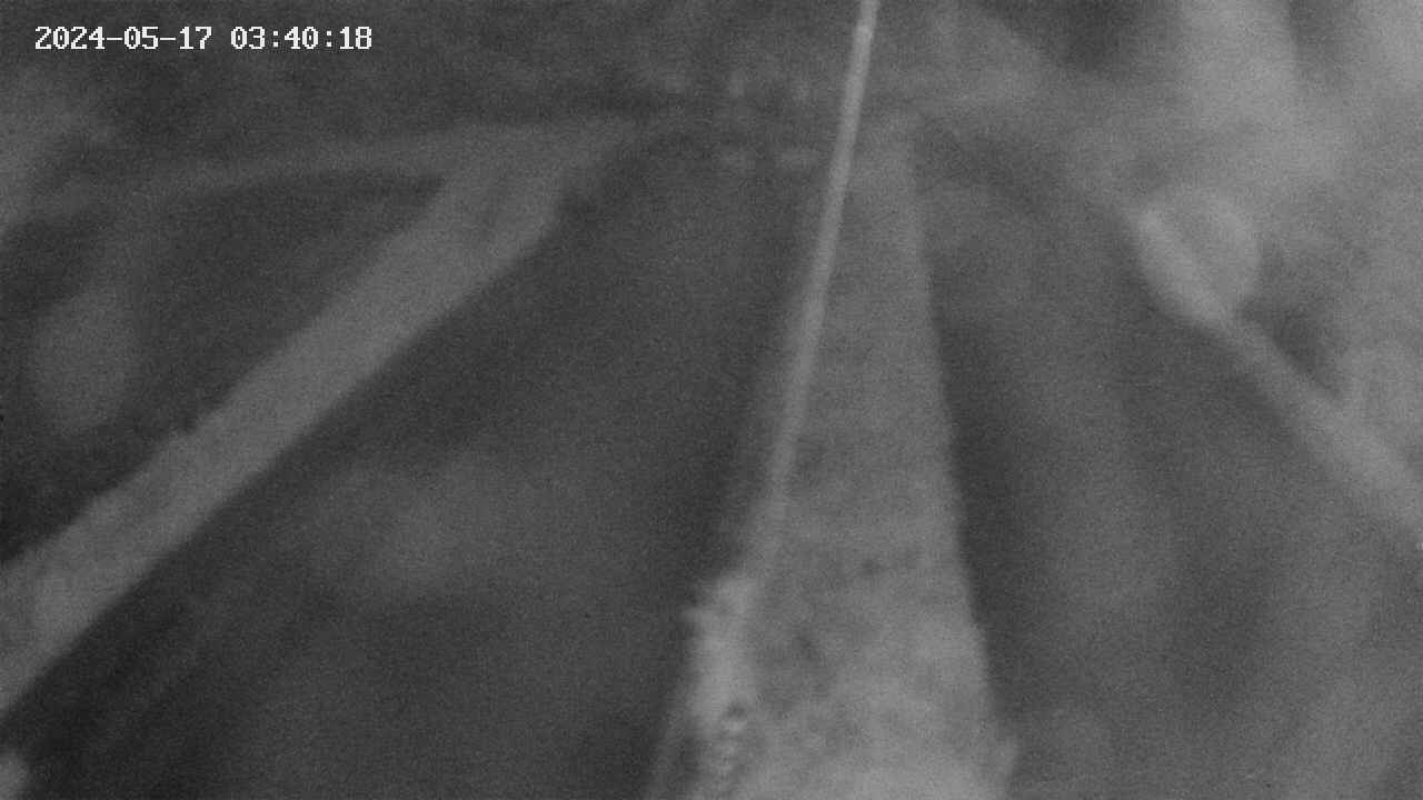 area9-20240517034019.jpg