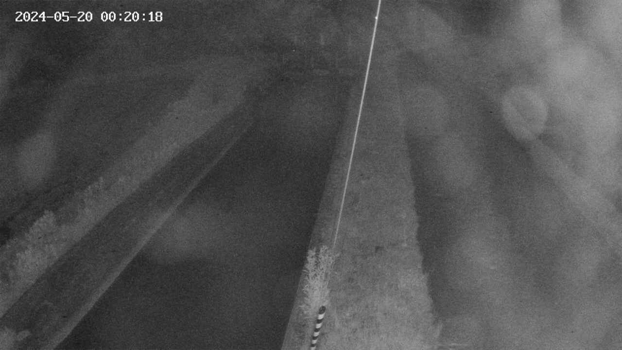 area9-20240520002018.jpg