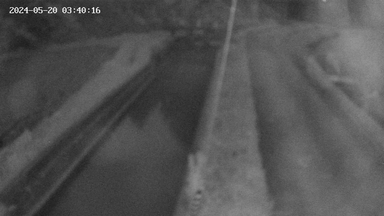area9-20240520034017.jpg
