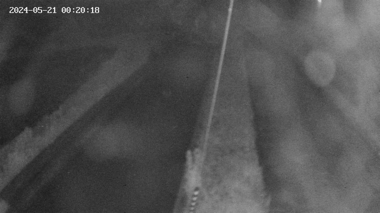 area9-20240521002019.jpg