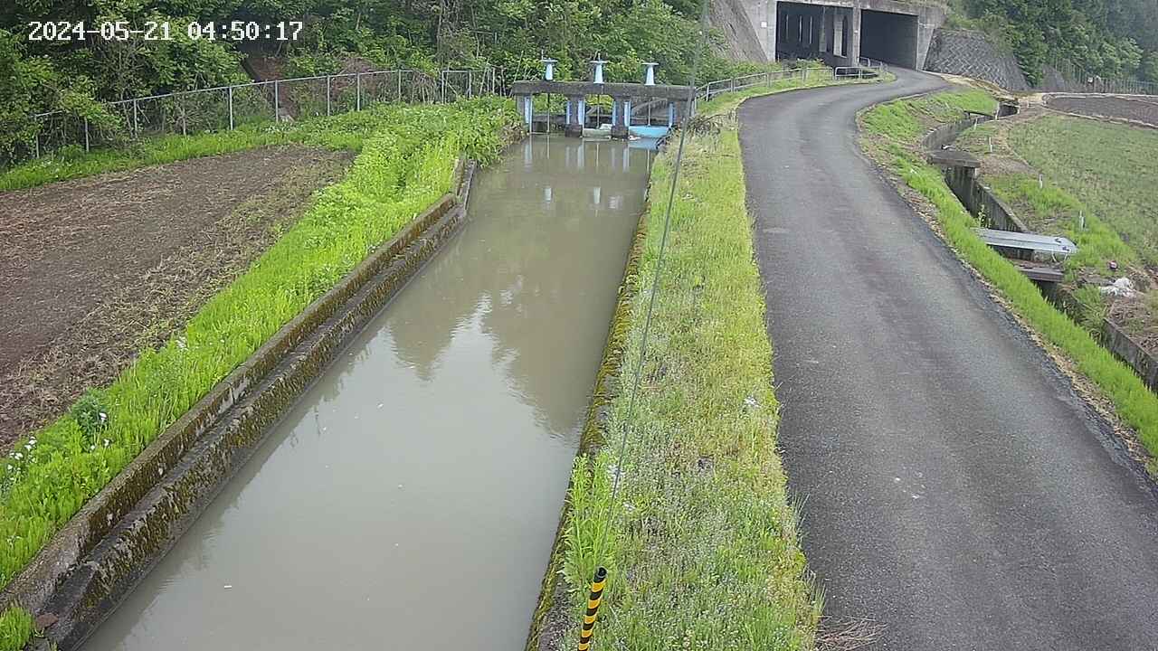 area9-20240521045019.jpg