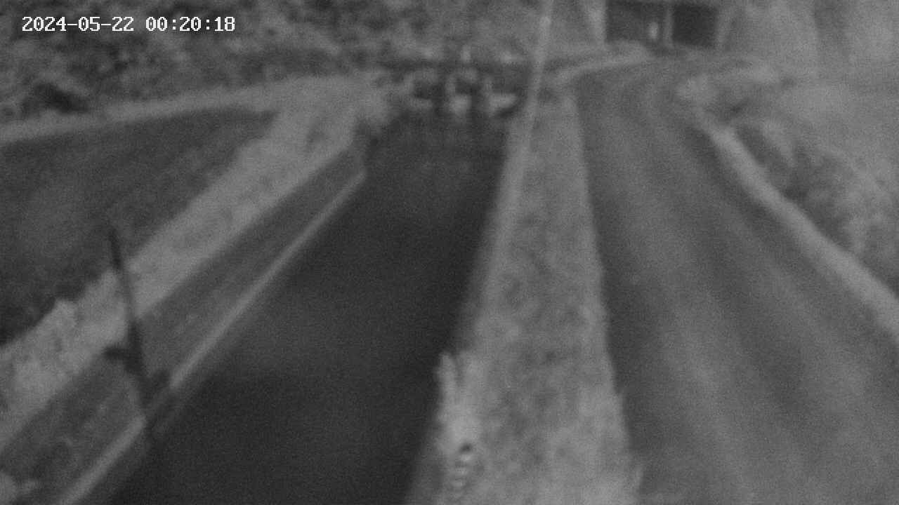 area9-20240522002019.jpg