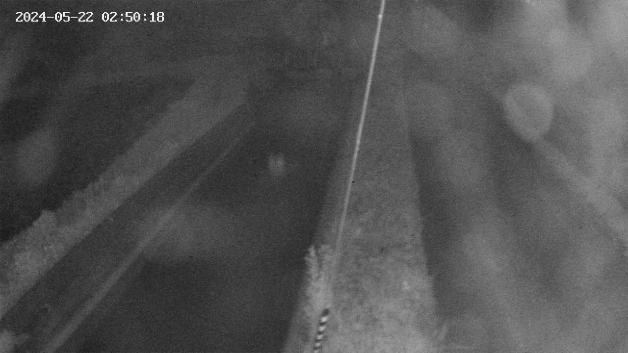 area9-20240522025018.jpg