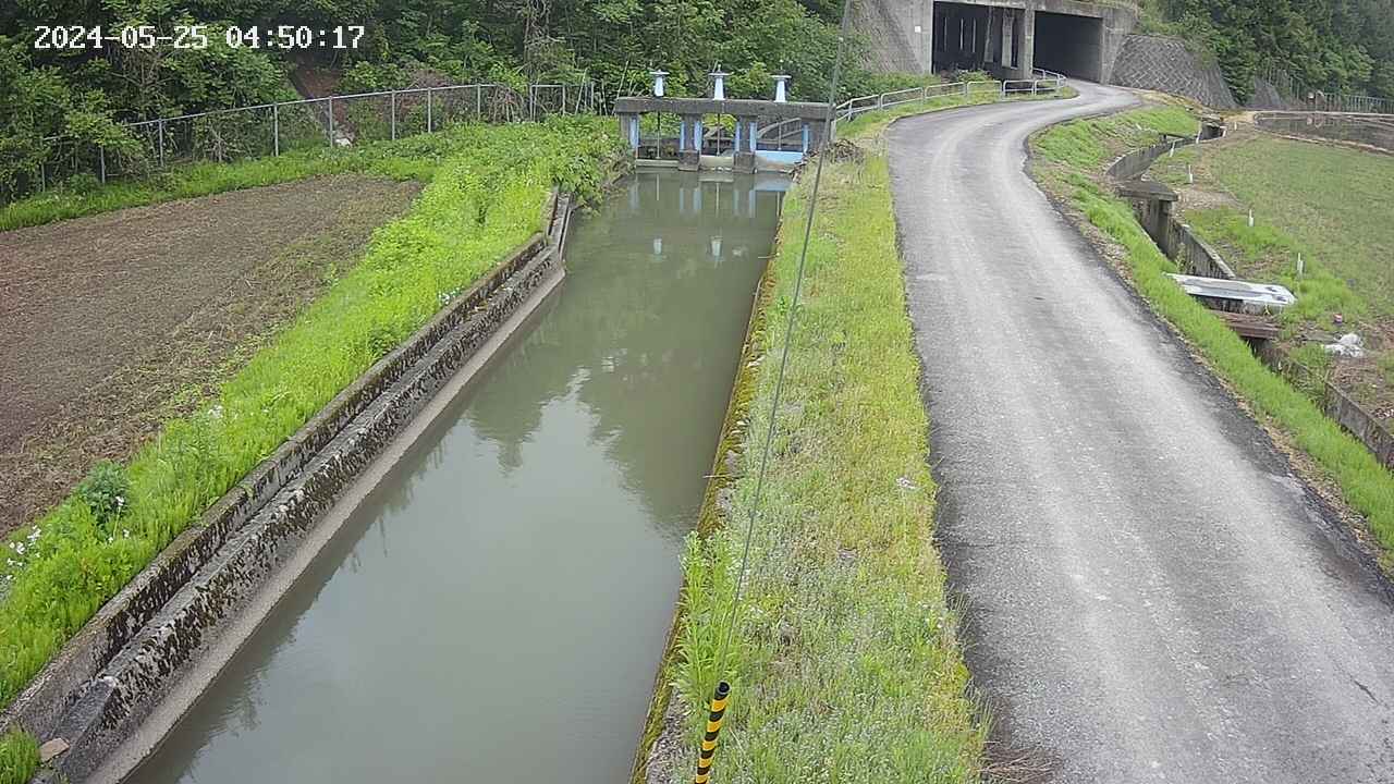 area9-20240525045018.jpg
