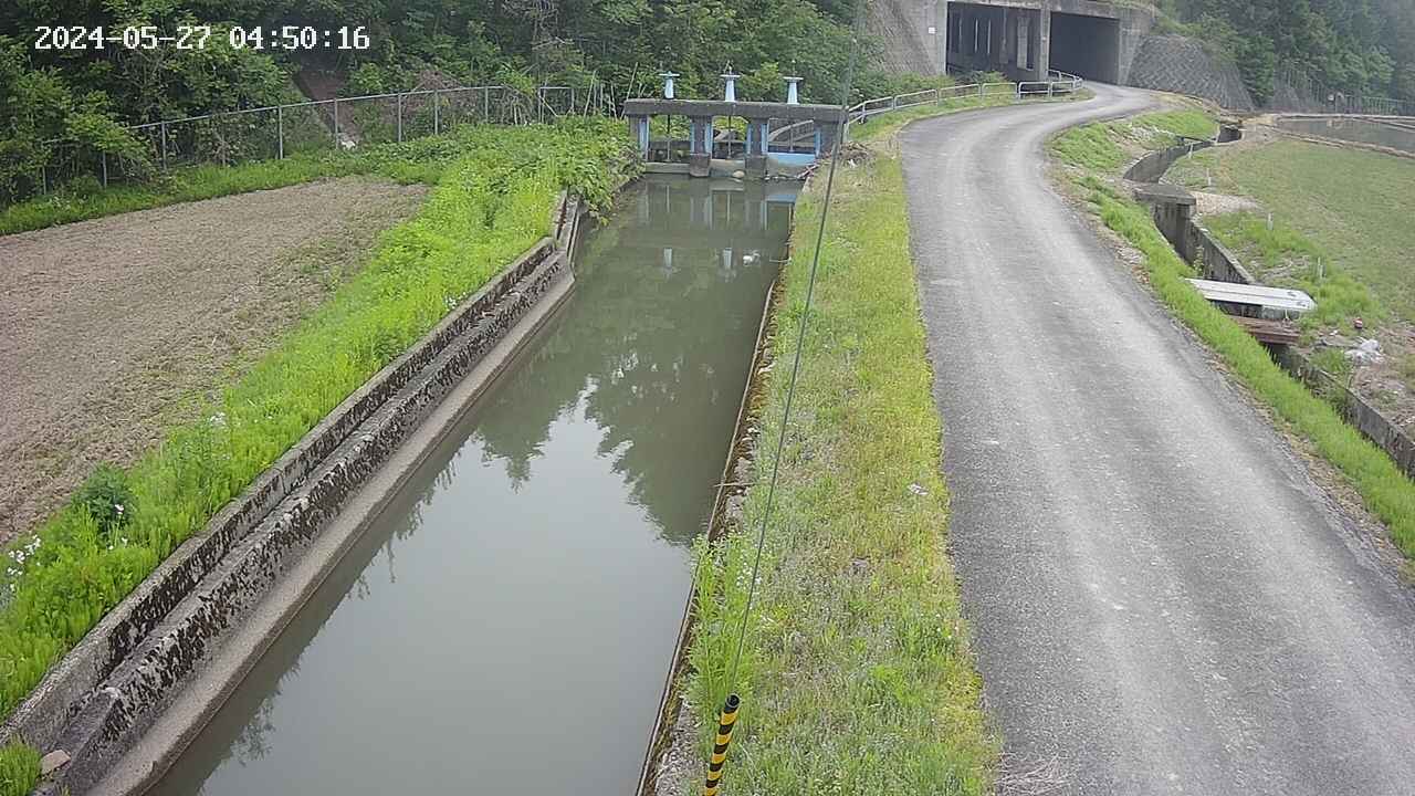 area9-20240527045017.jpg