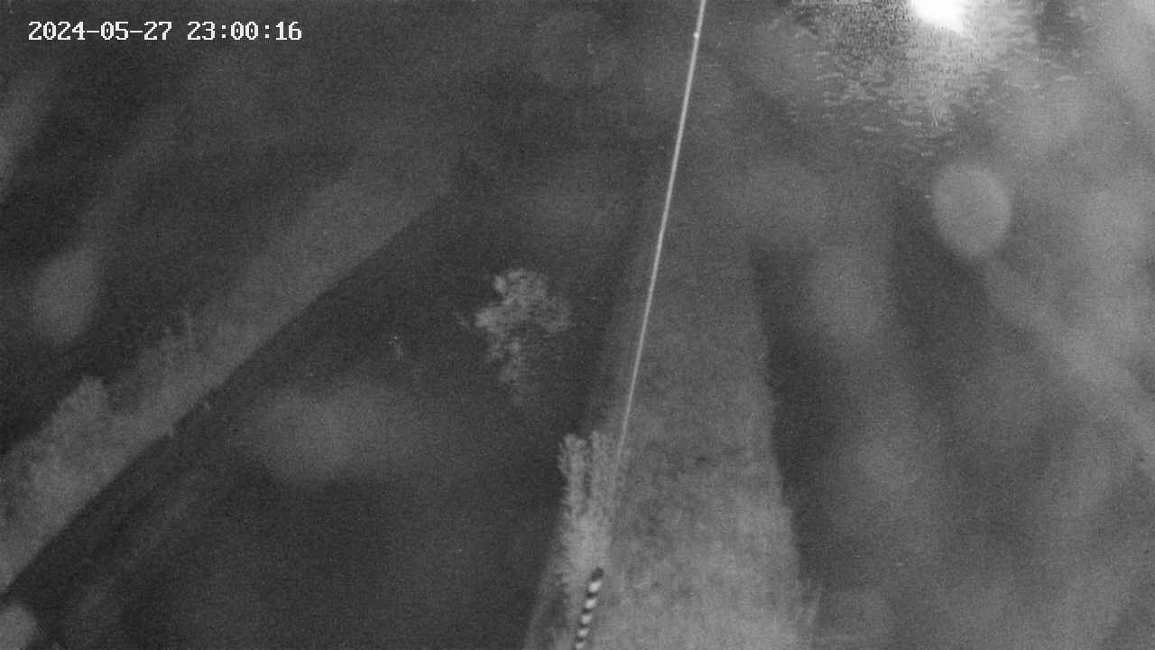 area9-20240527230017.jpg