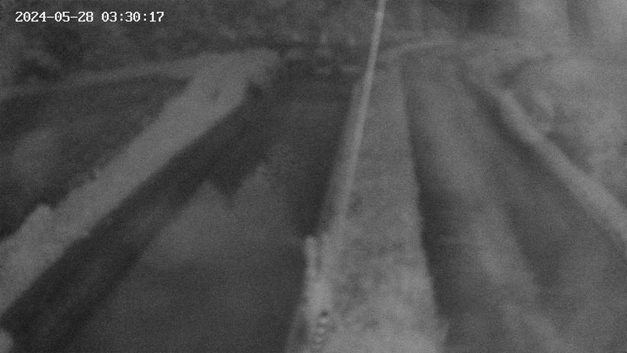area9-20240528033018.jpg