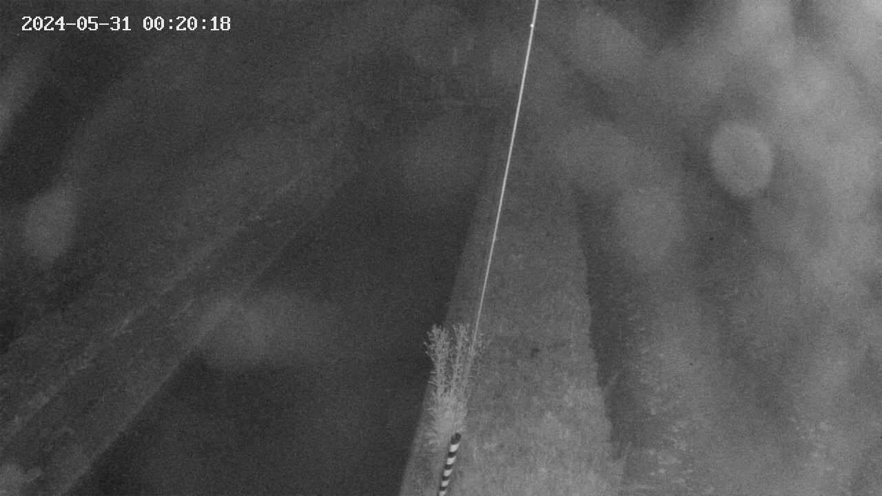 area9-20240531002018.jpg