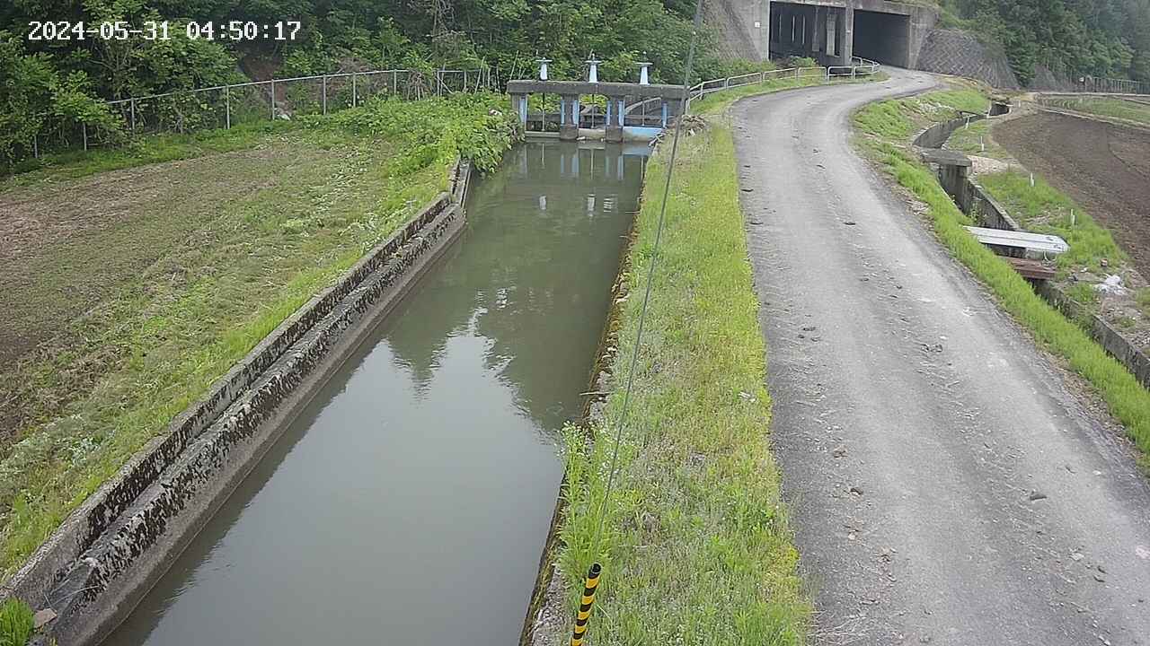 area9-20240531045018.jpg
