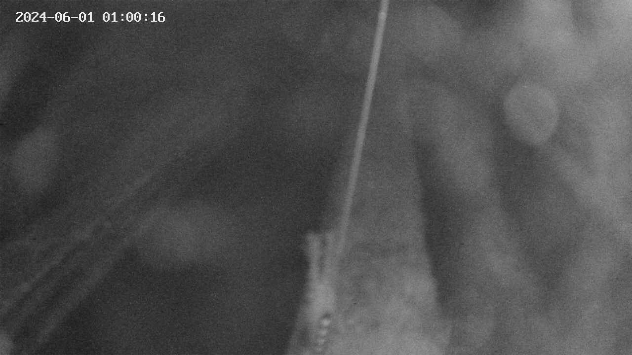 area9-20240601010017.jpg