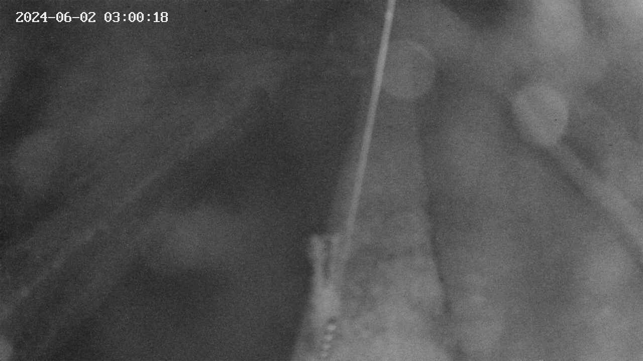 area9-20240602030018.jpg