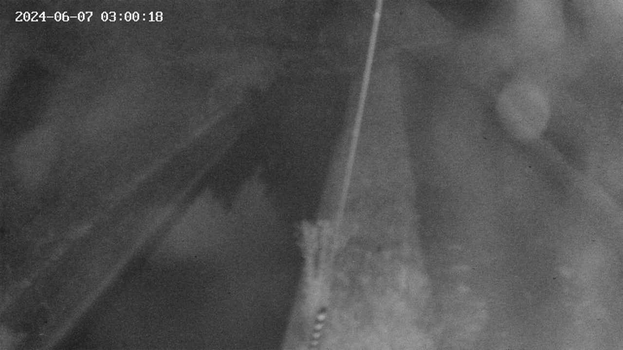 area9-20240607030019.jpg
