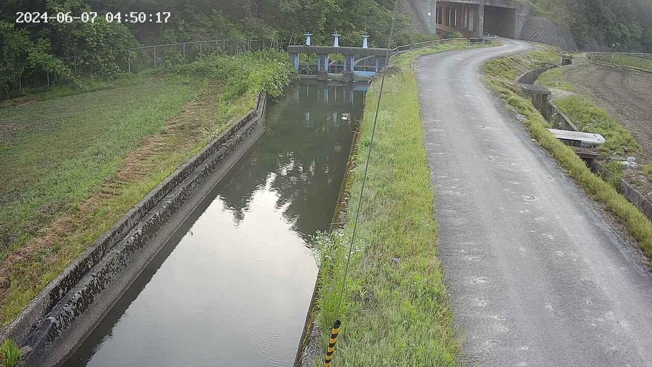 area9-20240607045018.jpg